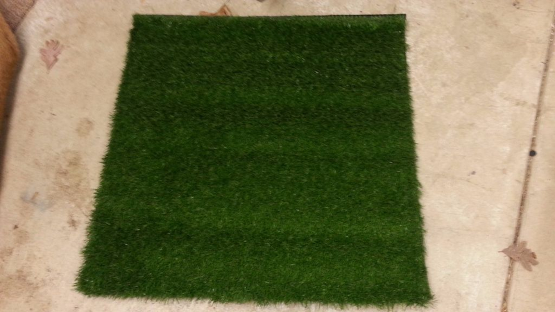 That’s some high quality grass right there